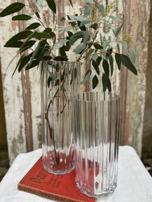 Clear Ribbed Glass Vases