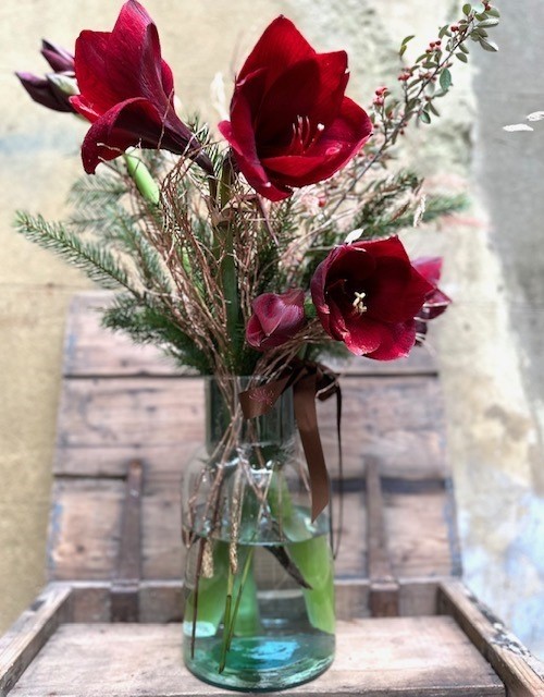 Oppulent Red Amaryllis Vase