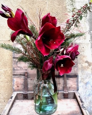 Oppulent Red Amaryllis Vase