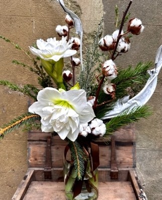 White Christmas Amaryllis Vase